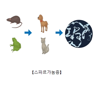 스파르가눔증