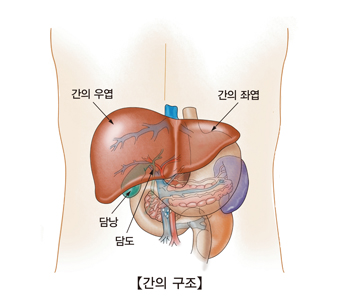 급성 바이러스성 간염