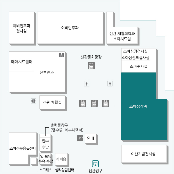 태아에서 성인까지 모든 선천성 심장병 및 소아의 후천성 심장병을 진단하고 비수술적 치료를 합니다. 심장 초음파 및 심혈관 조영술을 이용한 진단 및 내과적 치료, 중재적 심도자술을 이용한 비수술적 치료, 부정맥의 전기생리학 검사 및 치료, 가와사끼병 등과 같은 후천성 심장질환을 진단하고 치료합니다.