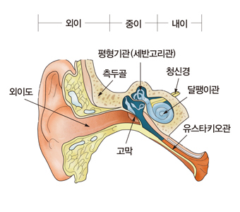 고막