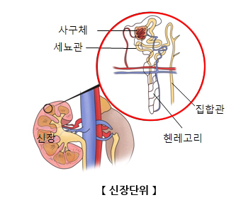 신장단위