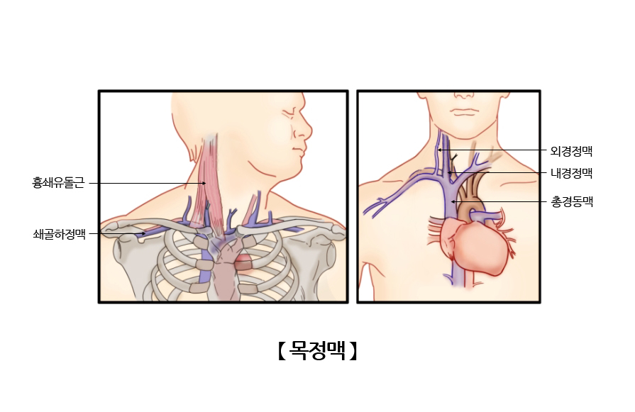 목정맥